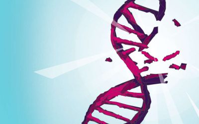 DNA ROSAK