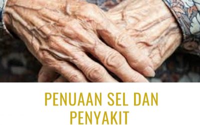 Penuaan Sel dan Penyakit